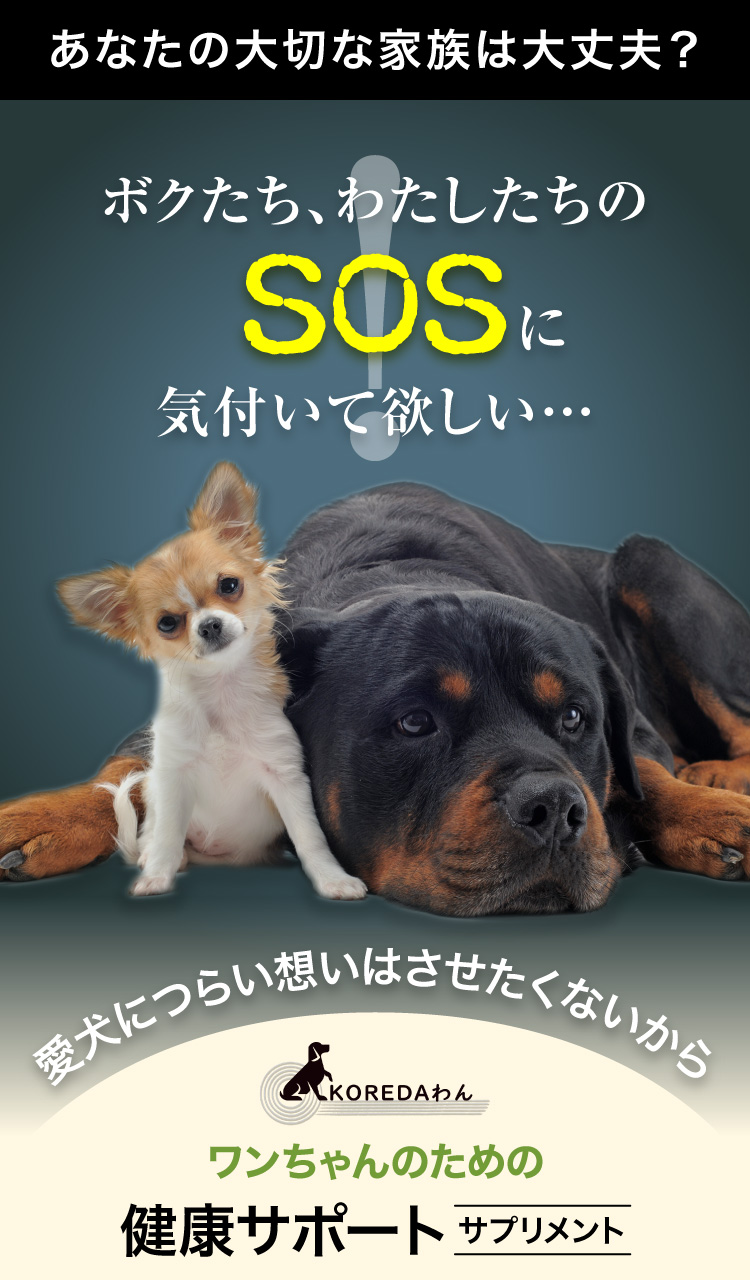 ボクたち、わたしたちのSOSに気付いて欲しい…