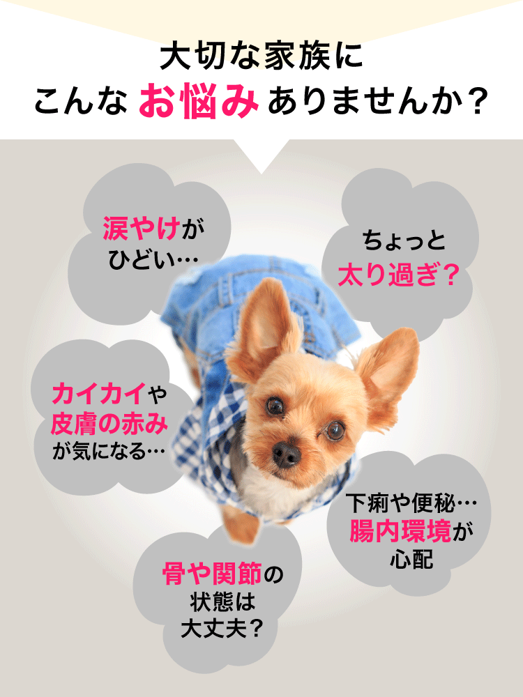 大切な家族にこんなお悩みありませんか？