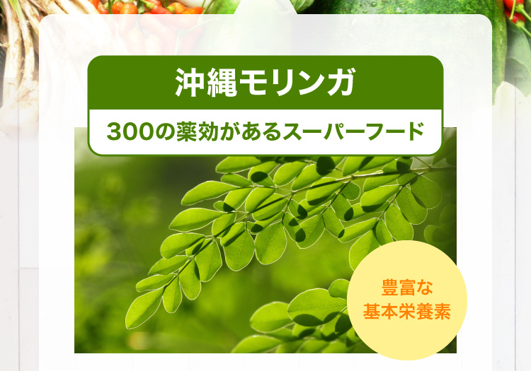 沖縄モリンガ／300の薬効があるスーパーフード