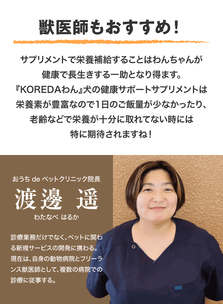 獣医師もおすすめ！