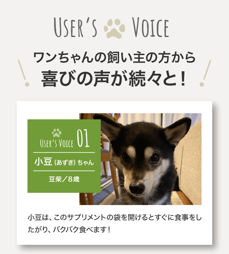 ワンちゃんの飼い主の方から喜びの声が続々と！小豆ちゃん（豆柴／８歳）
