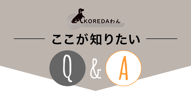 KOREDAわん ここが知りたいQ&A